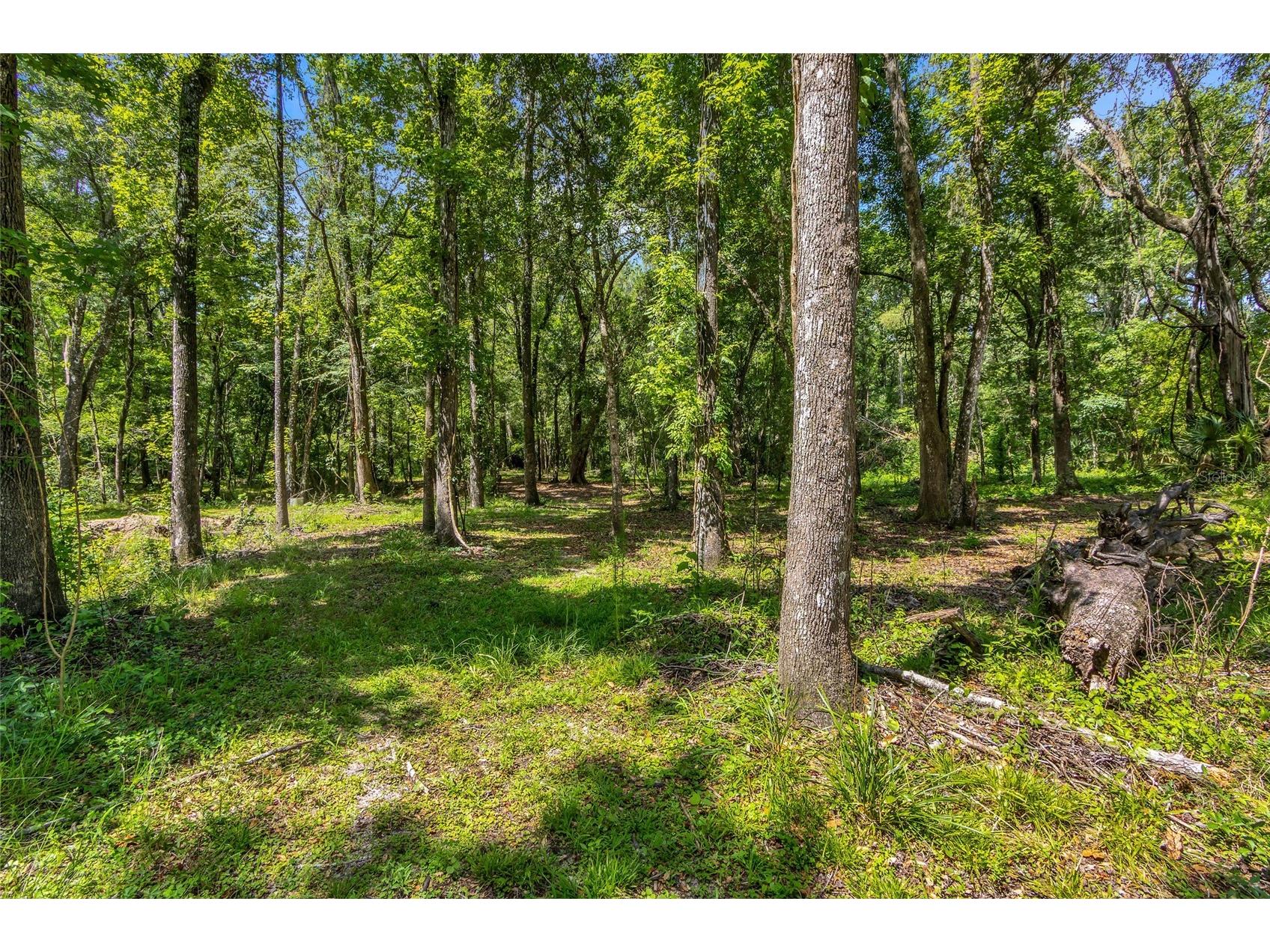 24050 Cortez Boulevard Brooksville FL 34601 W7887062 image42