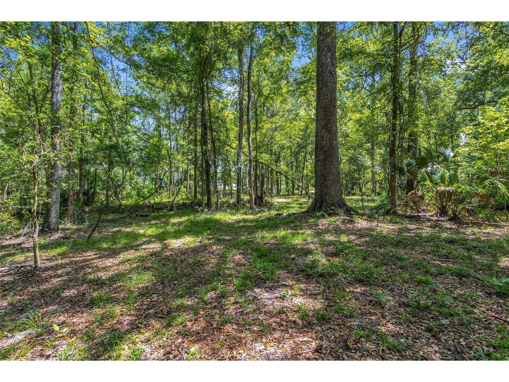 24050 Cortez Boulevard Brooksville FL 34601 W7887062 image44