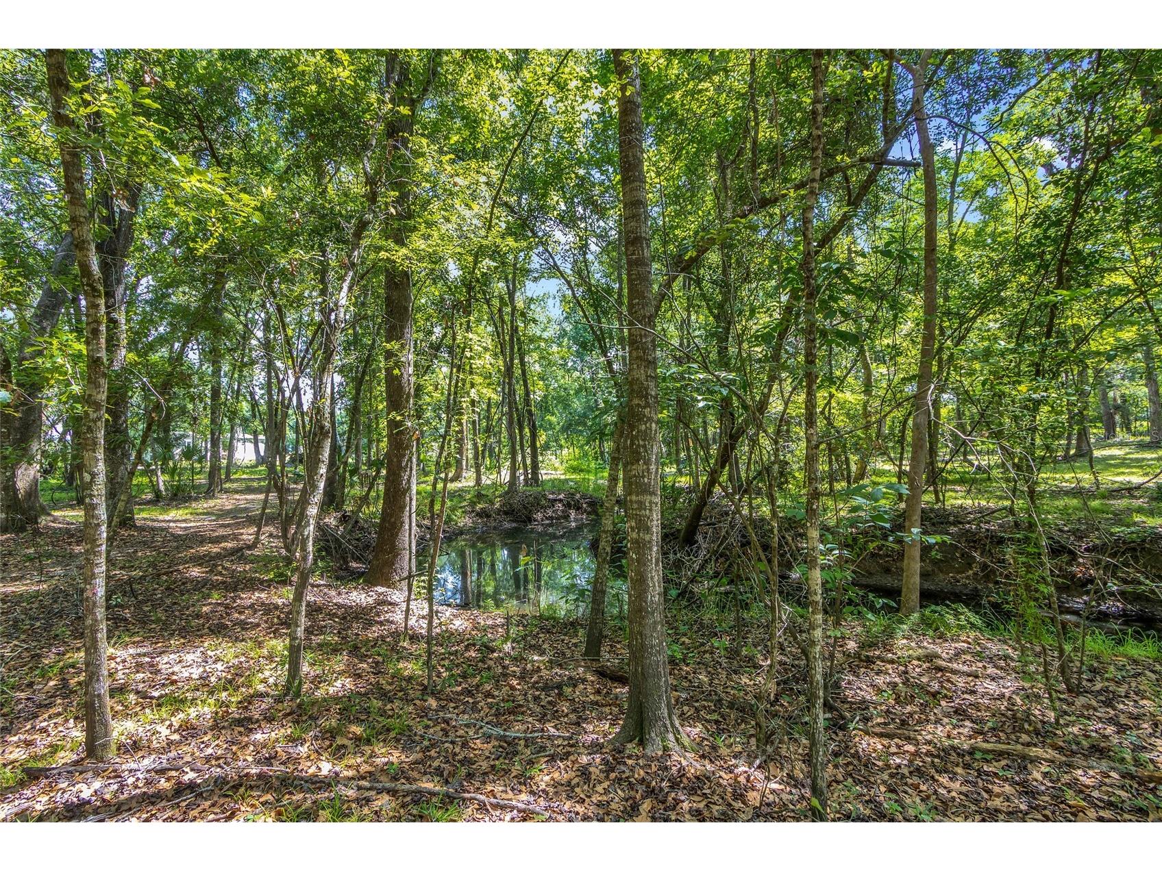 24050 Cortez Boulevard Brooksville FL 34601 W7887062 image45