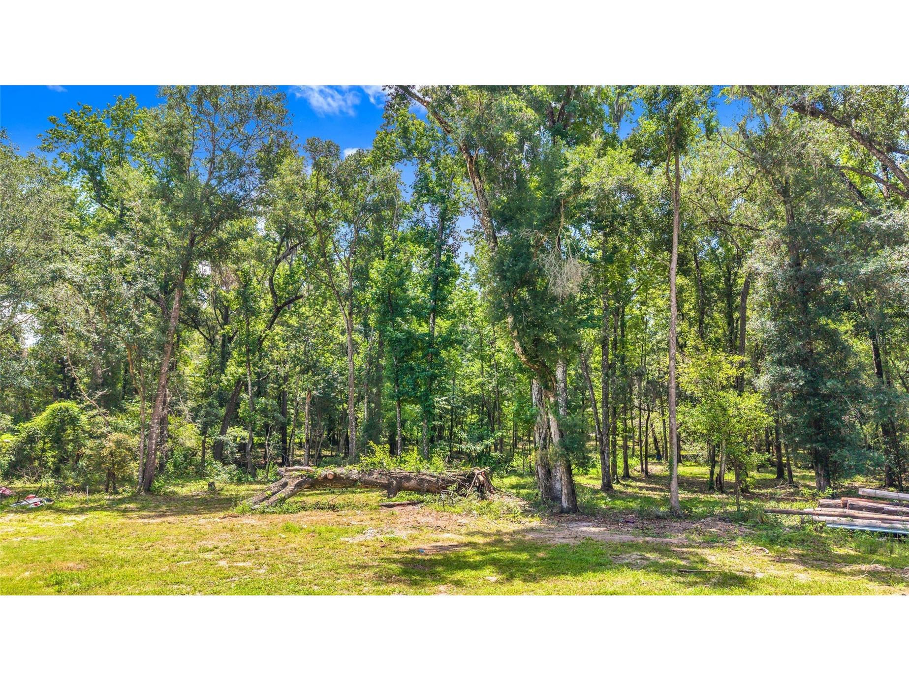 24050 Cortez Boulevard Brooksville FL 34601 W7887062 image46