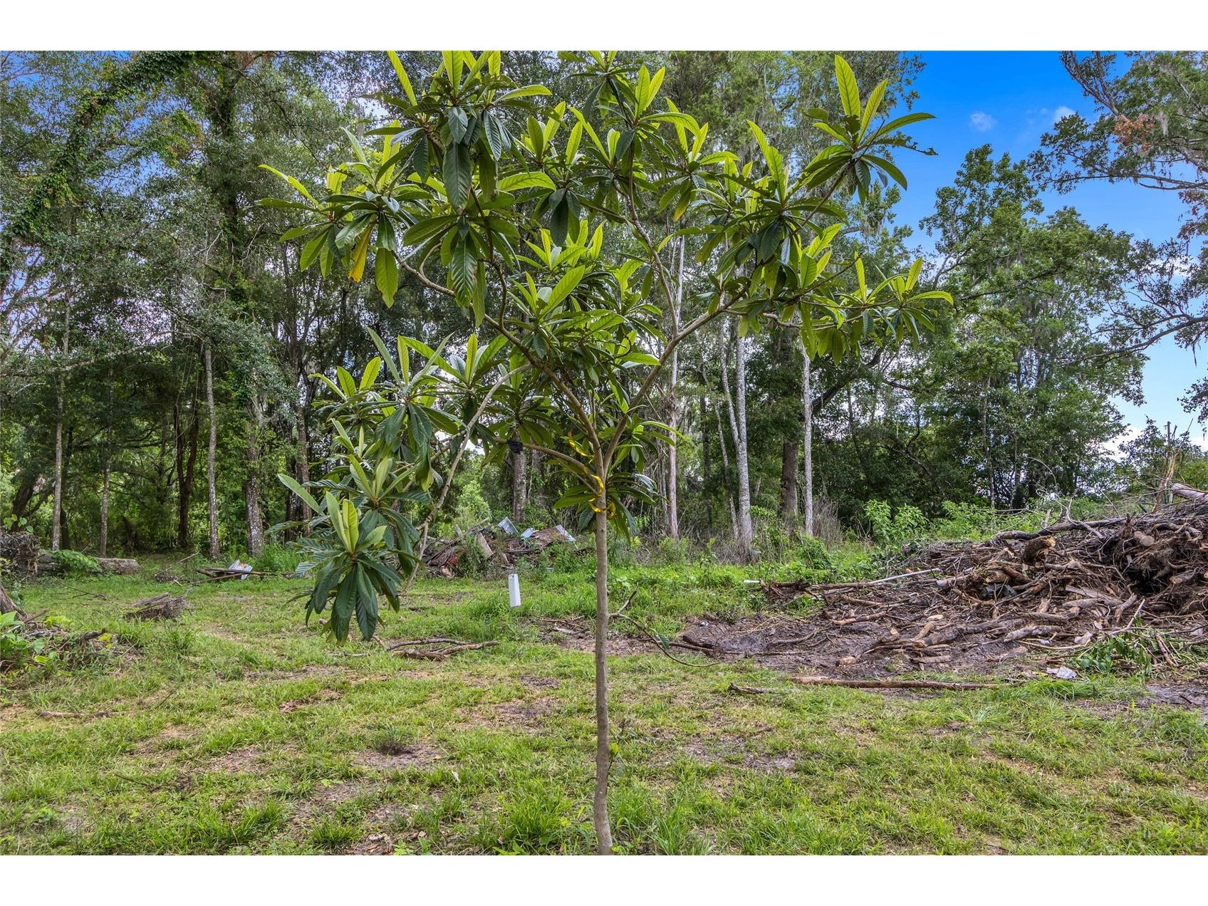 24050 Cortez Boulevard Brooksville FL 34601 W7887062 image52