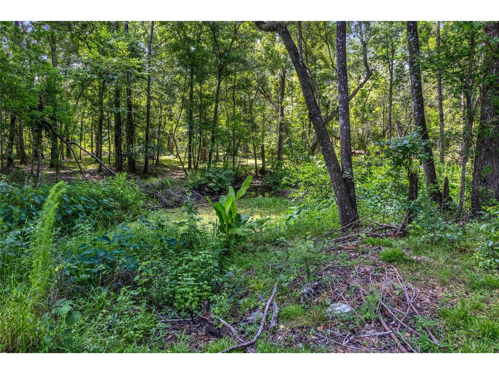 24050 Cortez Boulevard Brooksville FL 34601 W7887062 image8