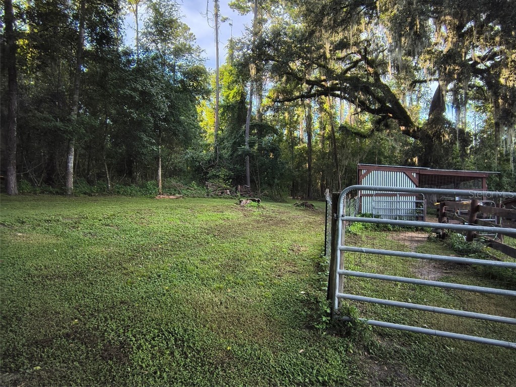 24050 Winding Creek Drive Brooksville FL 34601 O6337745 image11