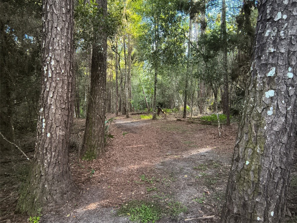 24050 Winding Creek Drive Brooksville FL 34601 O6337745 image12