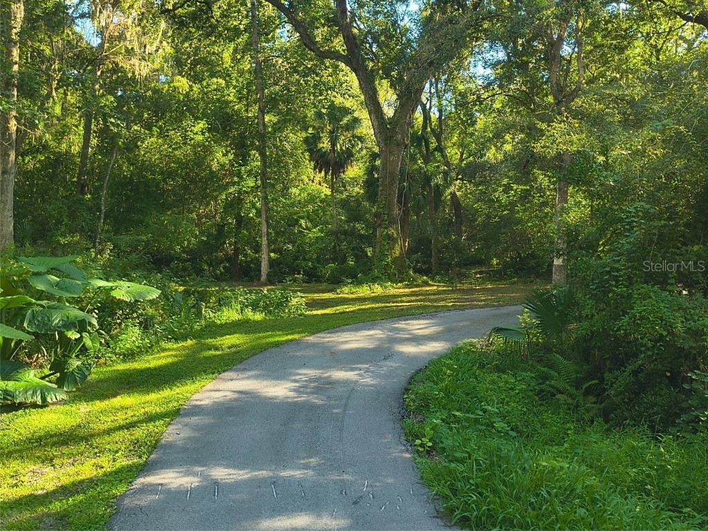 24050 Winding Creek Drive Brooksville FL 34601 O6337745 image32