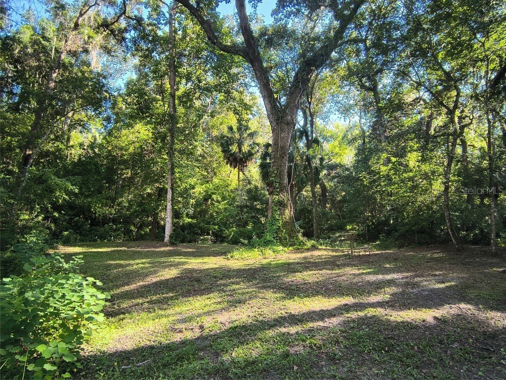 24050 Winding Creek Drive Brooksville FL 34601 O6337745 image33