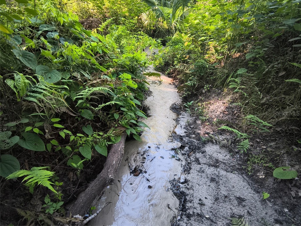 24050 Winding Creek Drive Brooksville FL 34601 O6337745 image35