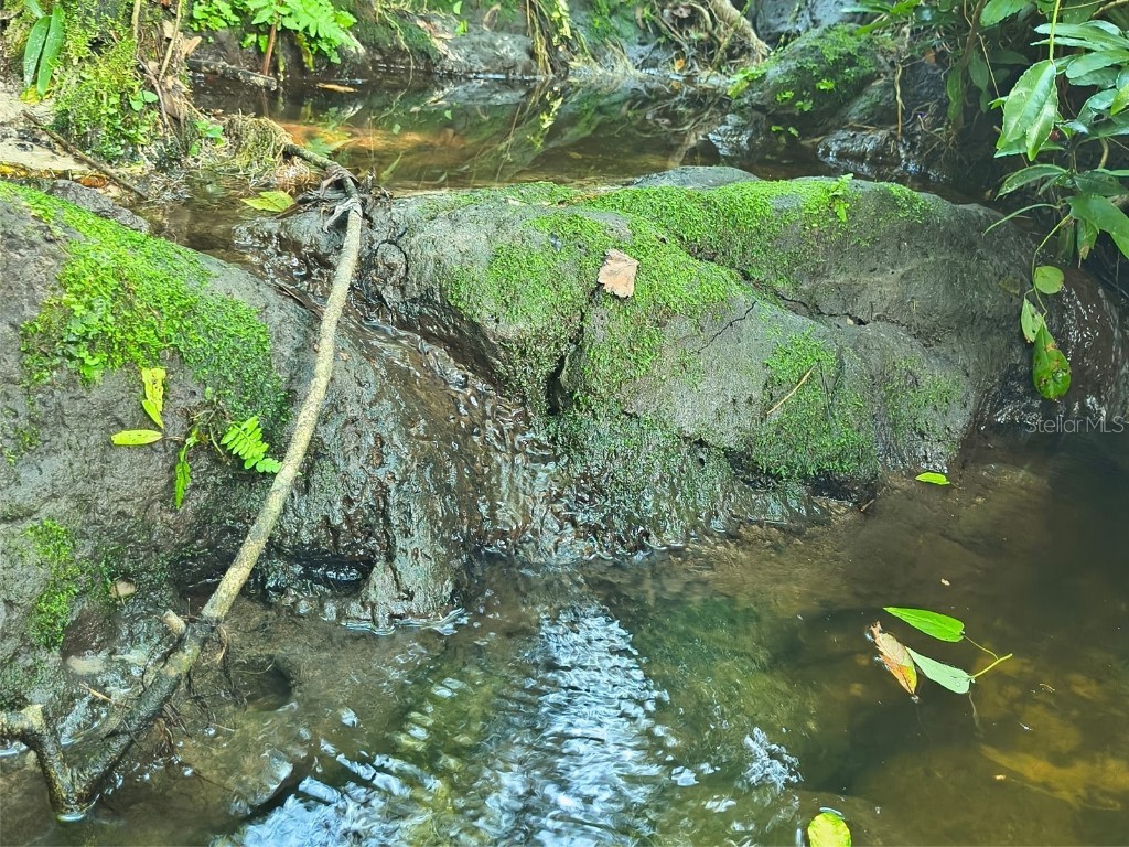 24050 Winding Creek Drive Brooksville FL 34601 O6337745 image36