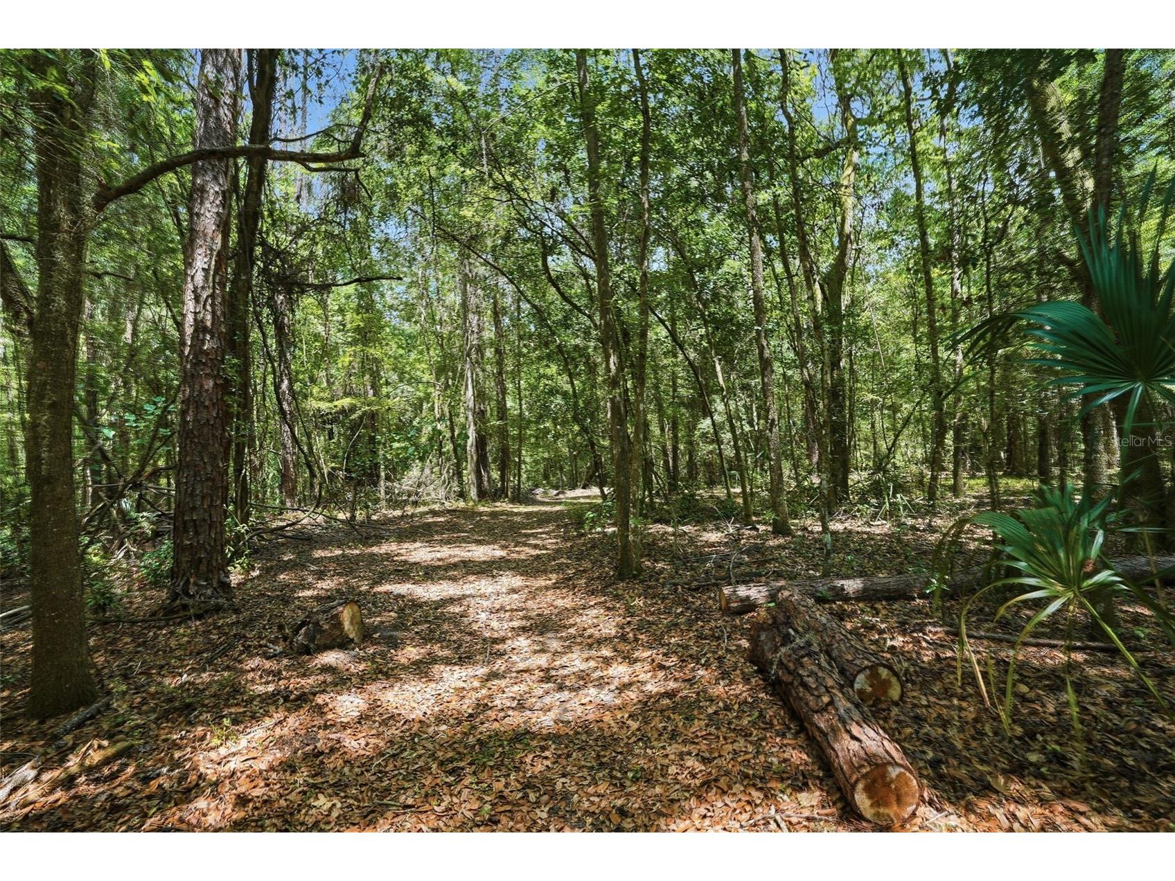 24050 Winding Creek Drive Brooksville FL 34601 W7886000 image85