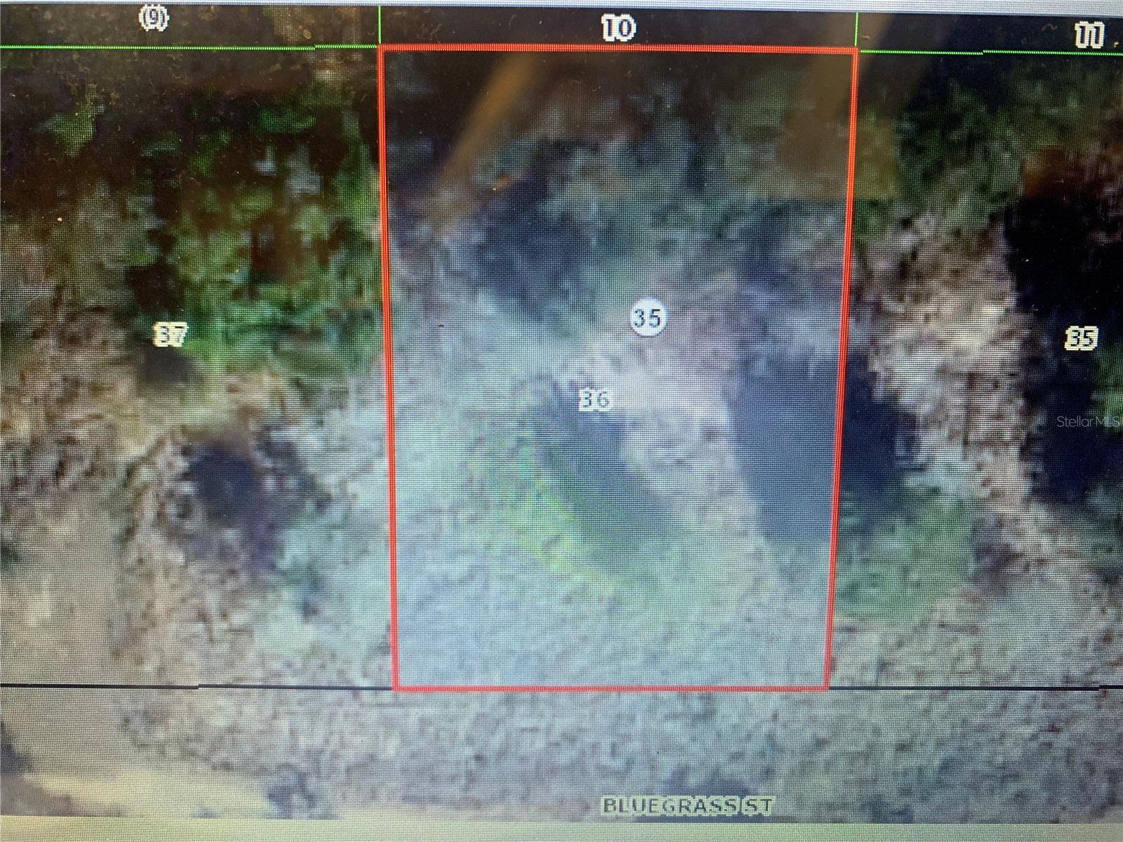 2406 Bluegrass Street Inverness FL 34453 OM721141 image4