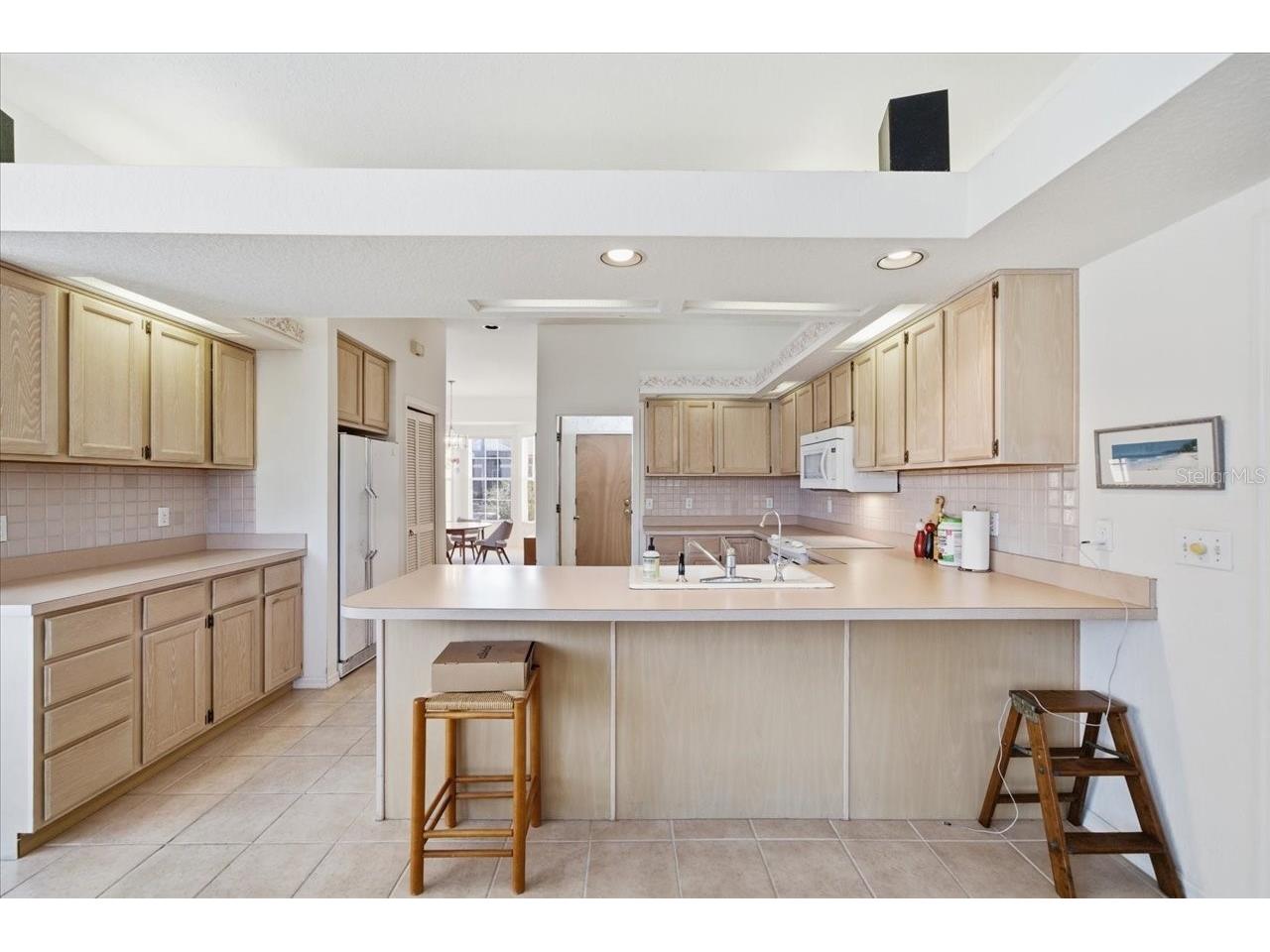 2406 Dana Drive Safety Harbor FL 34695 TB8478784 image17