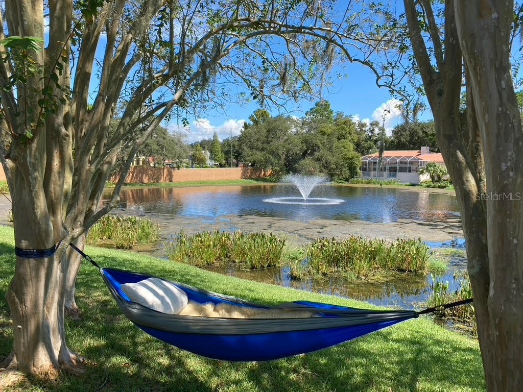 2406 Dana Drive Safety Harbor FL 34695 TB8478784 image2