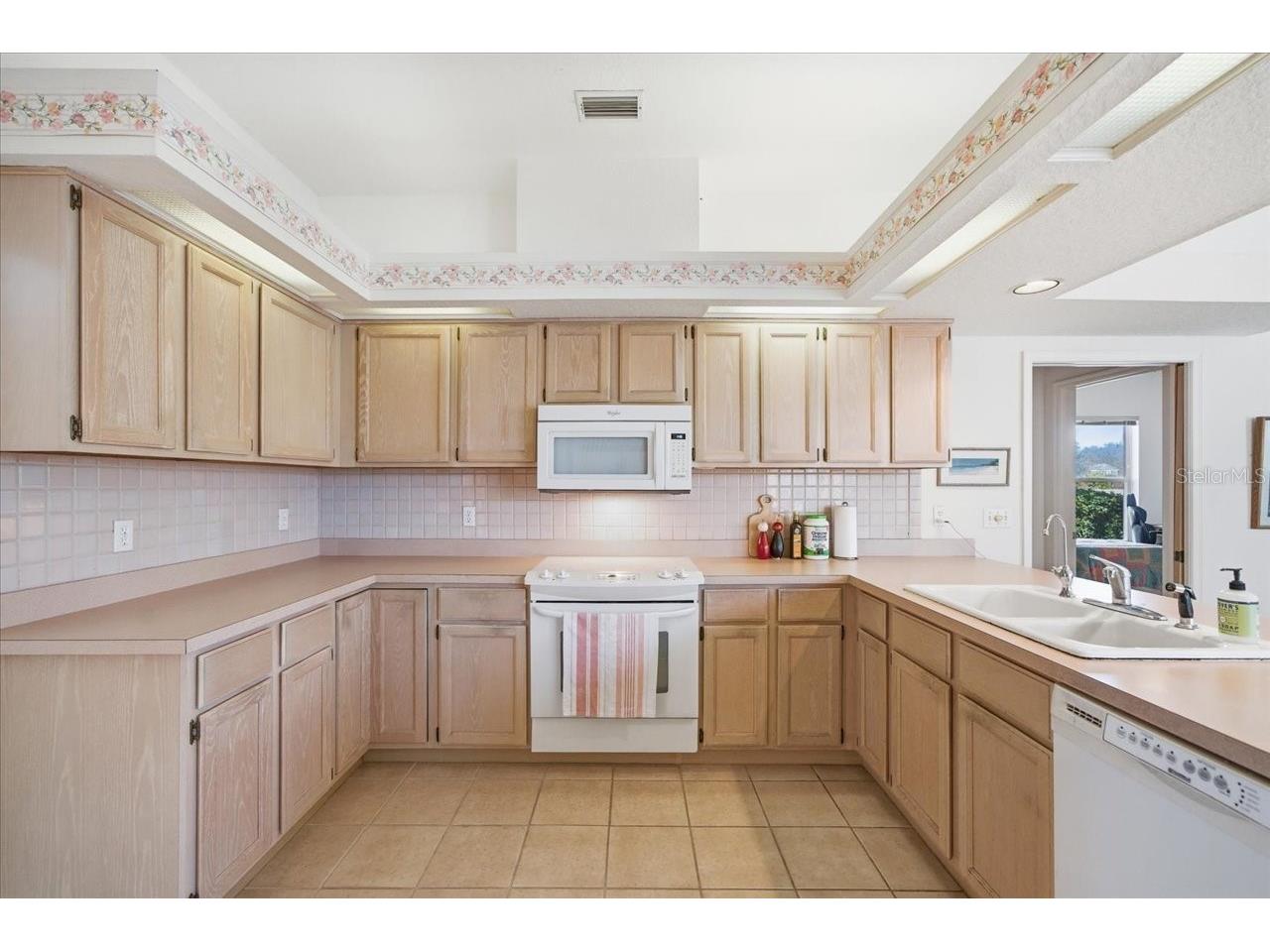 2406 Dana Drive Safety Harbor FL 34695 TB8478784 image20