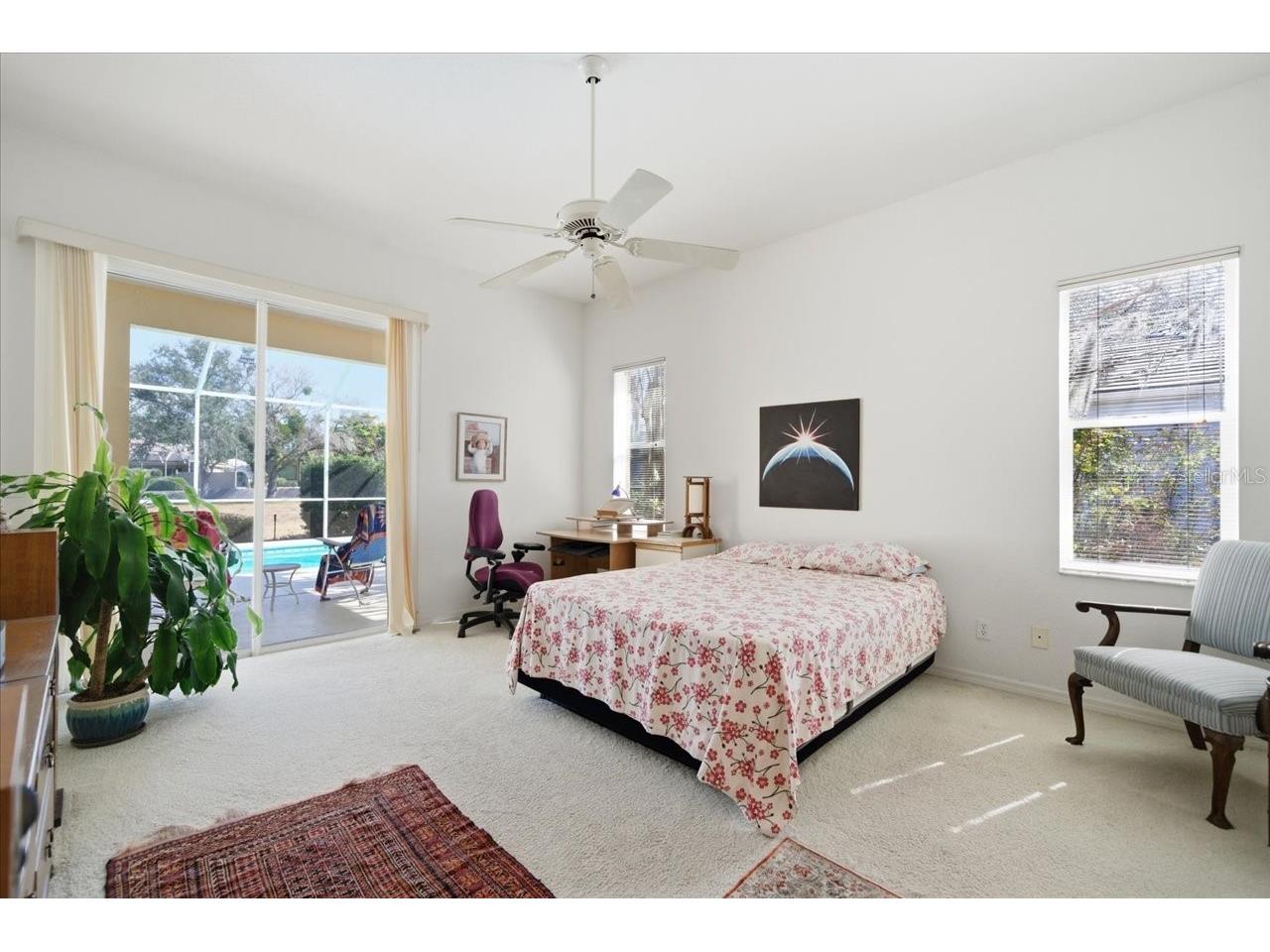 2406 Dana Drive Safety Harbor FL 34695 TB8478784 image32