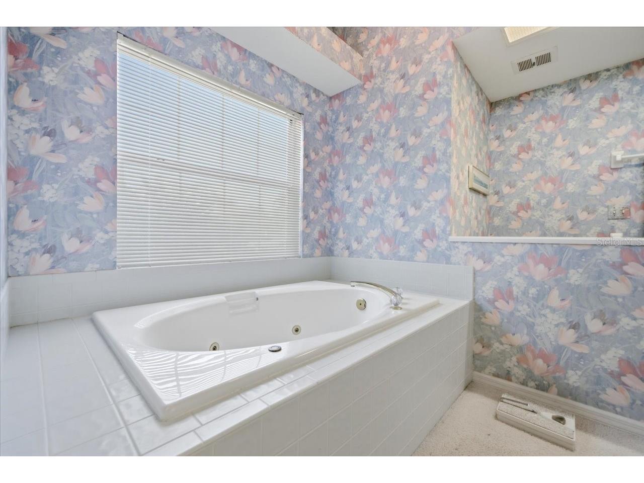 2406 Dana Drive Safety Harbor FL 34695 TB8478784 image38