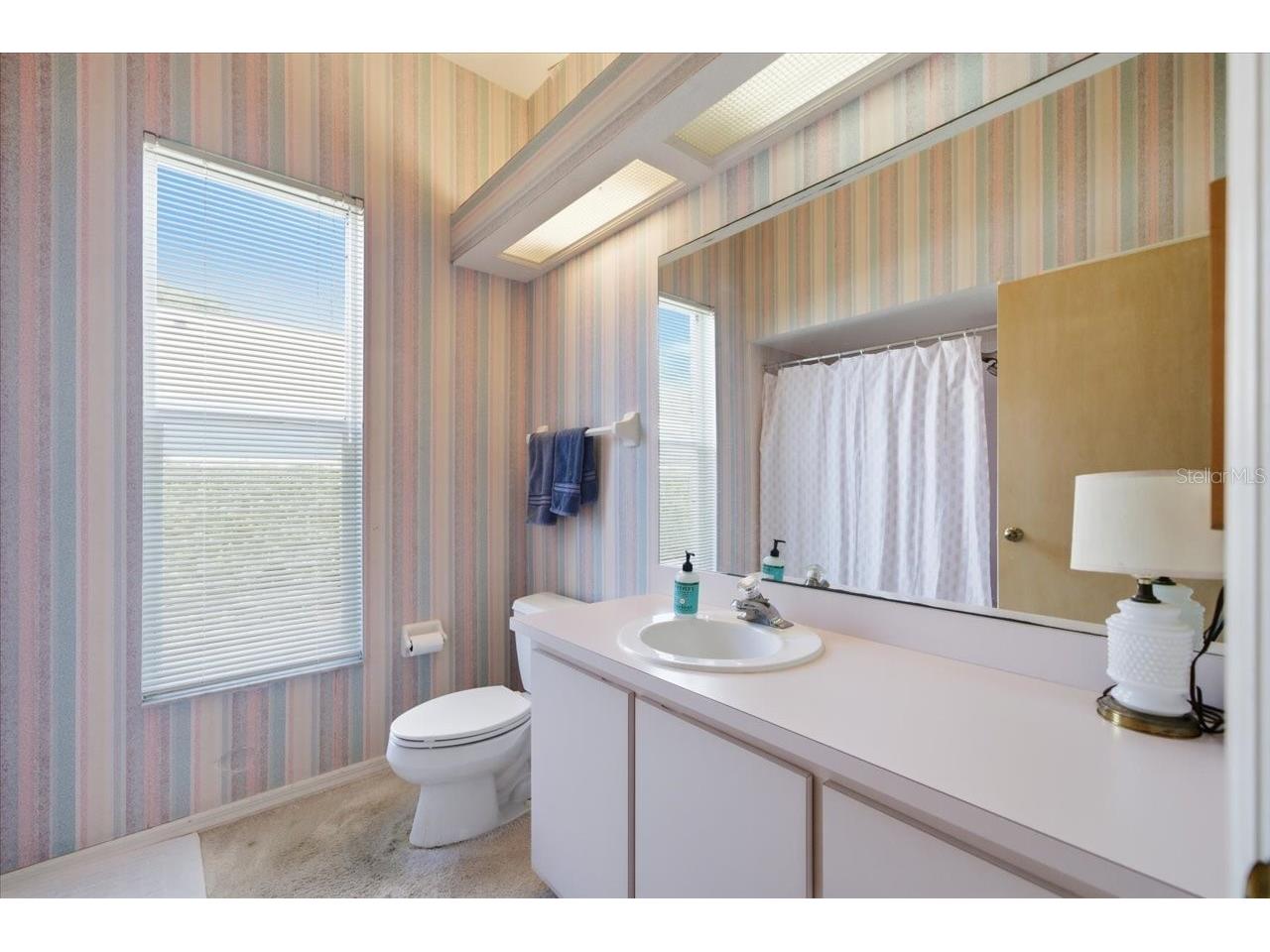 2406 Dana Drive Safety Harbor FL 34695 TB8478784 image41