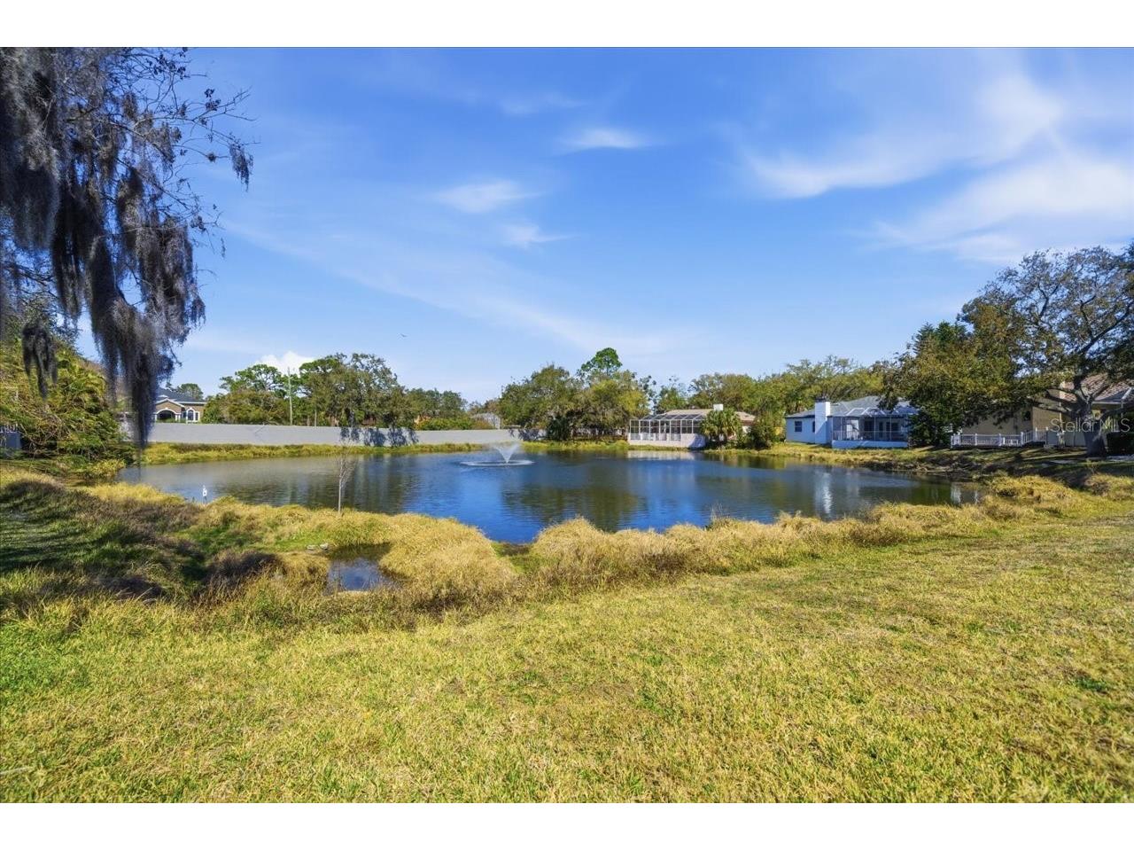 2406 Dana Drive Safety Harbor FL 34695 TB8478784 image51