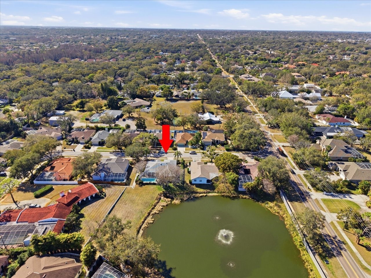 2406 Dana Drive Safety Harbor FL 34695 TB8478784 image54