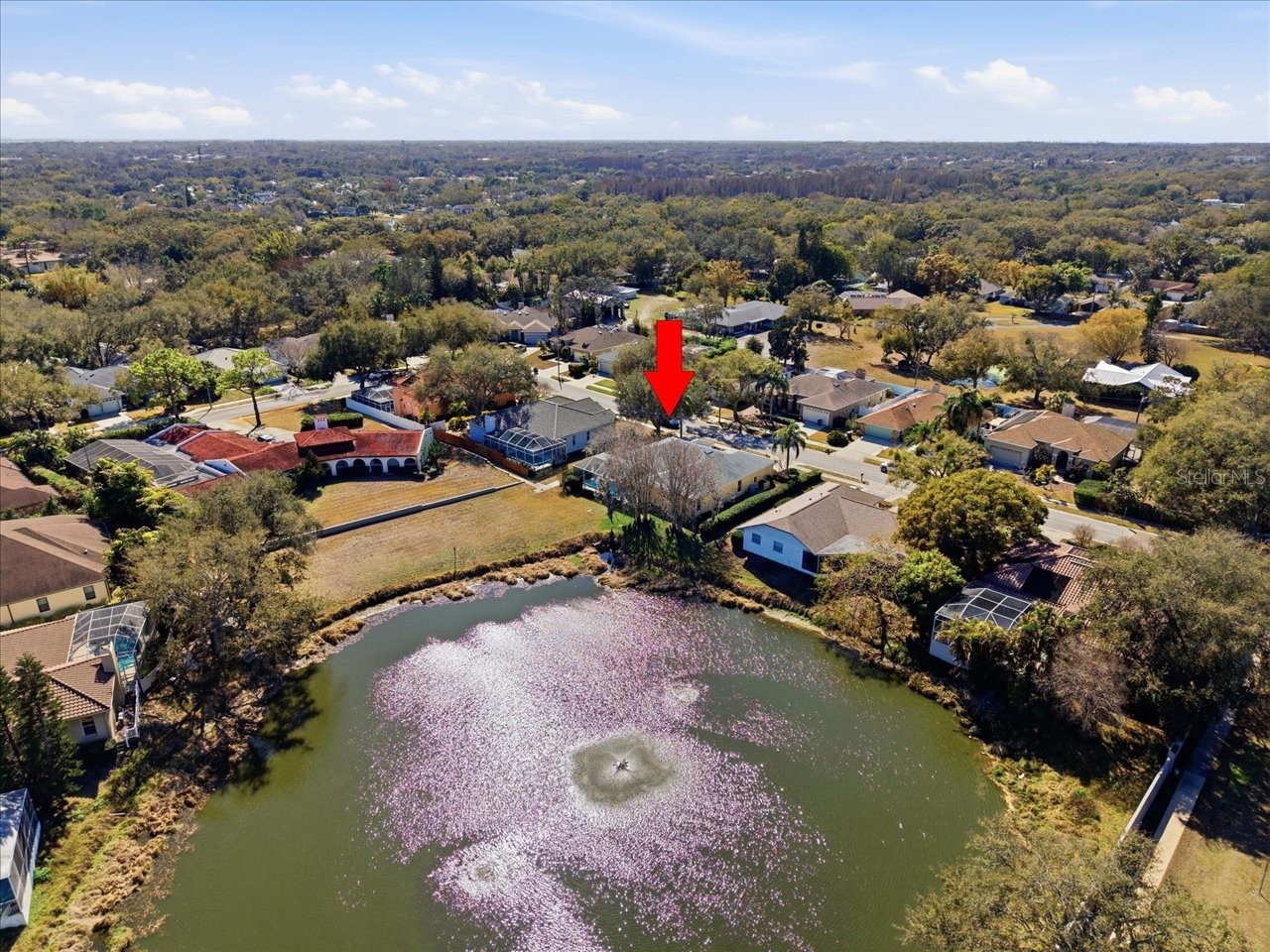 2406 Dana Drive Safety Harbor FL 34695 TB8478784 image55