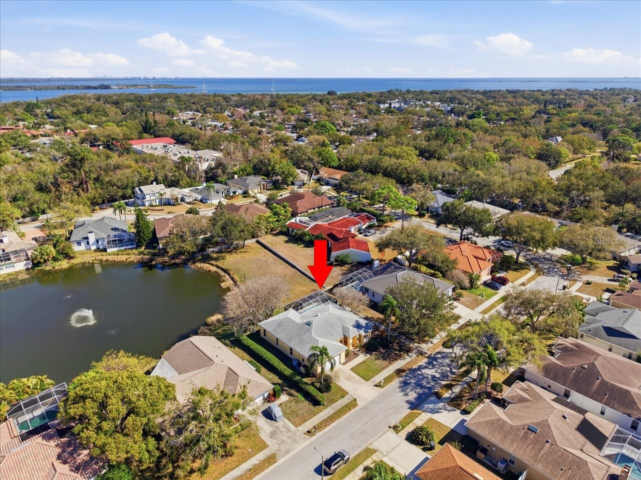 2406 Dana Drive Safety Harbor FL 34695 TB8478784 image56