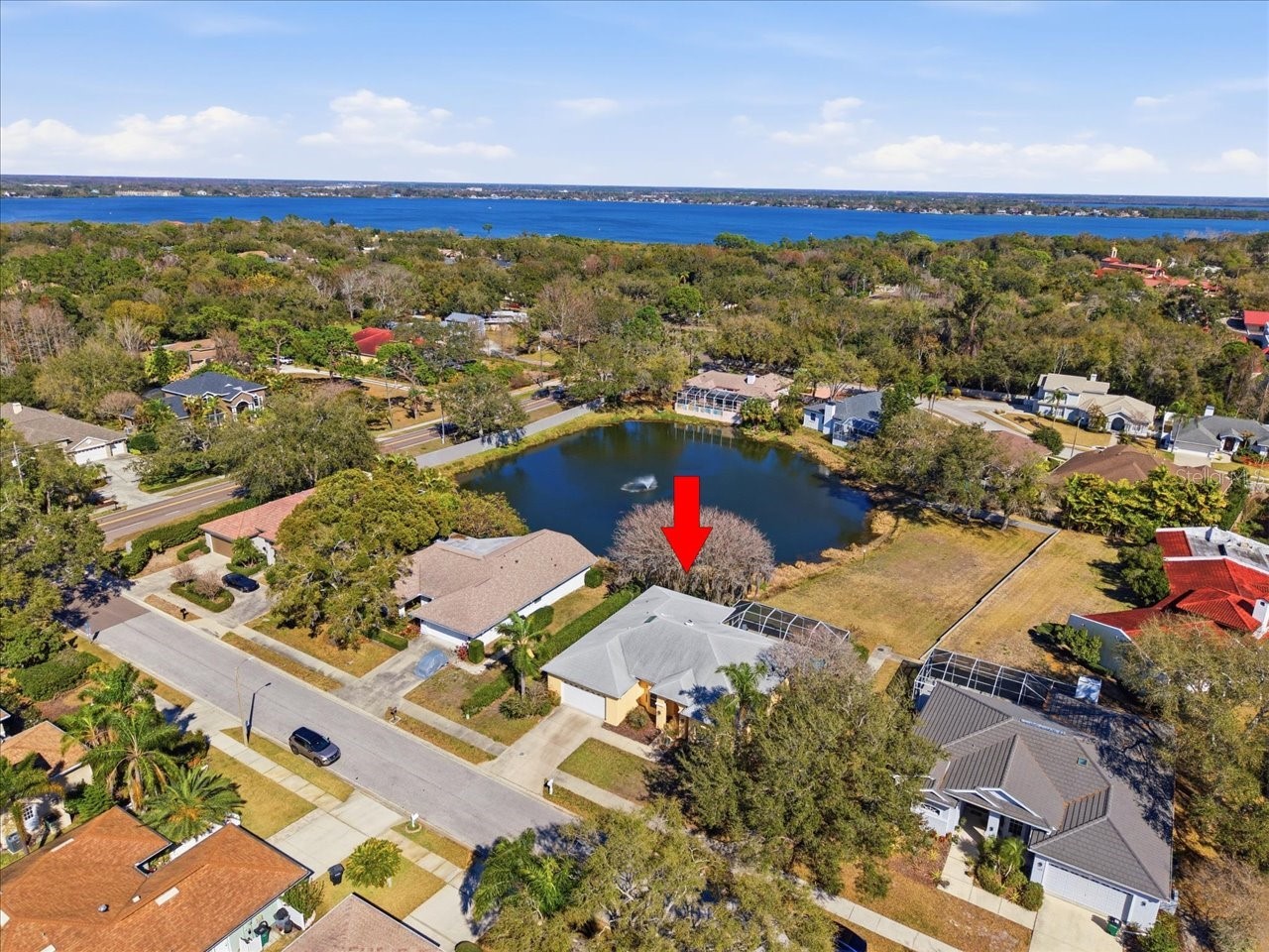 2406 Dana Drive Safety Harbor FL 34695 TB8478784 image57