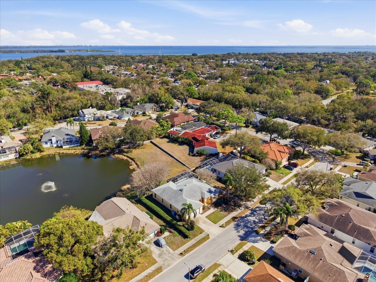 2406 Dana Drive Safety Harbor FL 34695 TB8478784 image59