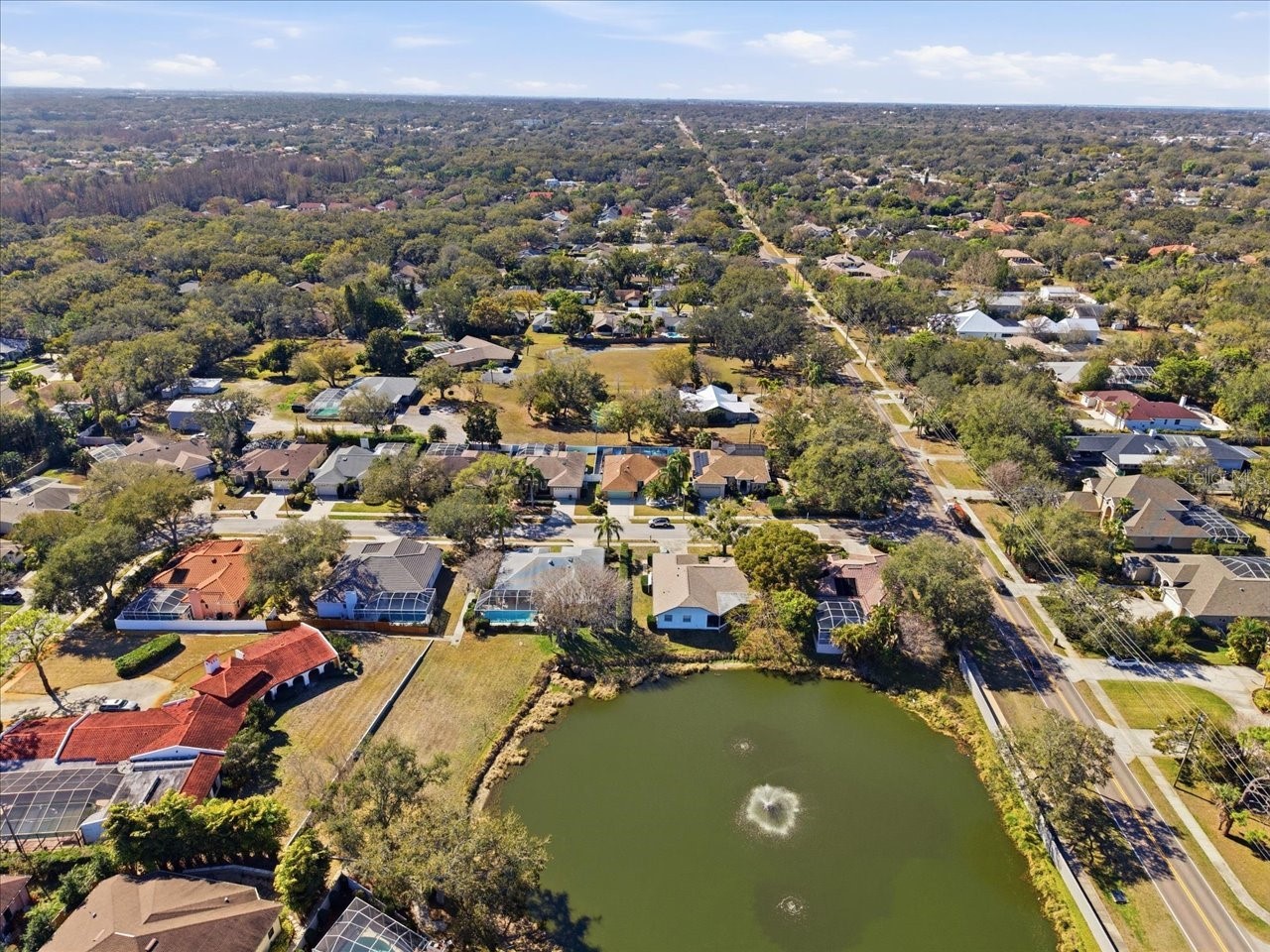 2406 Dana Drive Safety Harbor FL 34695 TB8478784 image61