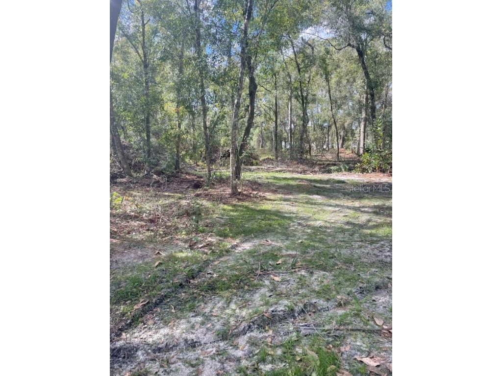 2406 E International Speedway Boulevard Deland FL 32724 V4945616 image2