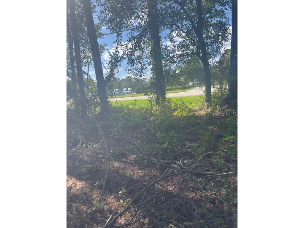 2406 E International Speedway Boulevard Deland FL 32724 V4945616 image3