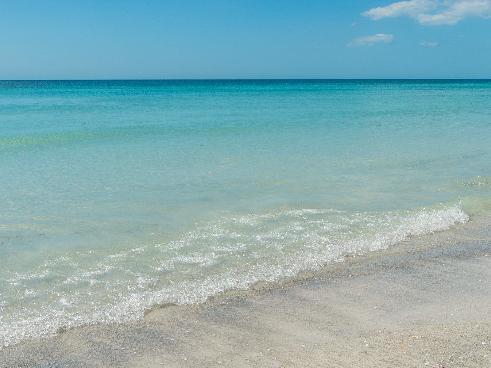 2406 Gulf Boulevard #204 Indian Rocks Beach FL 33785 TB8494357 image33