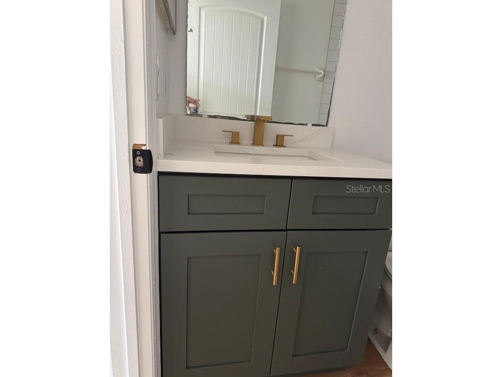 2406 Harbor Town Drive Kissimmee FL 34744 S5135189 image16