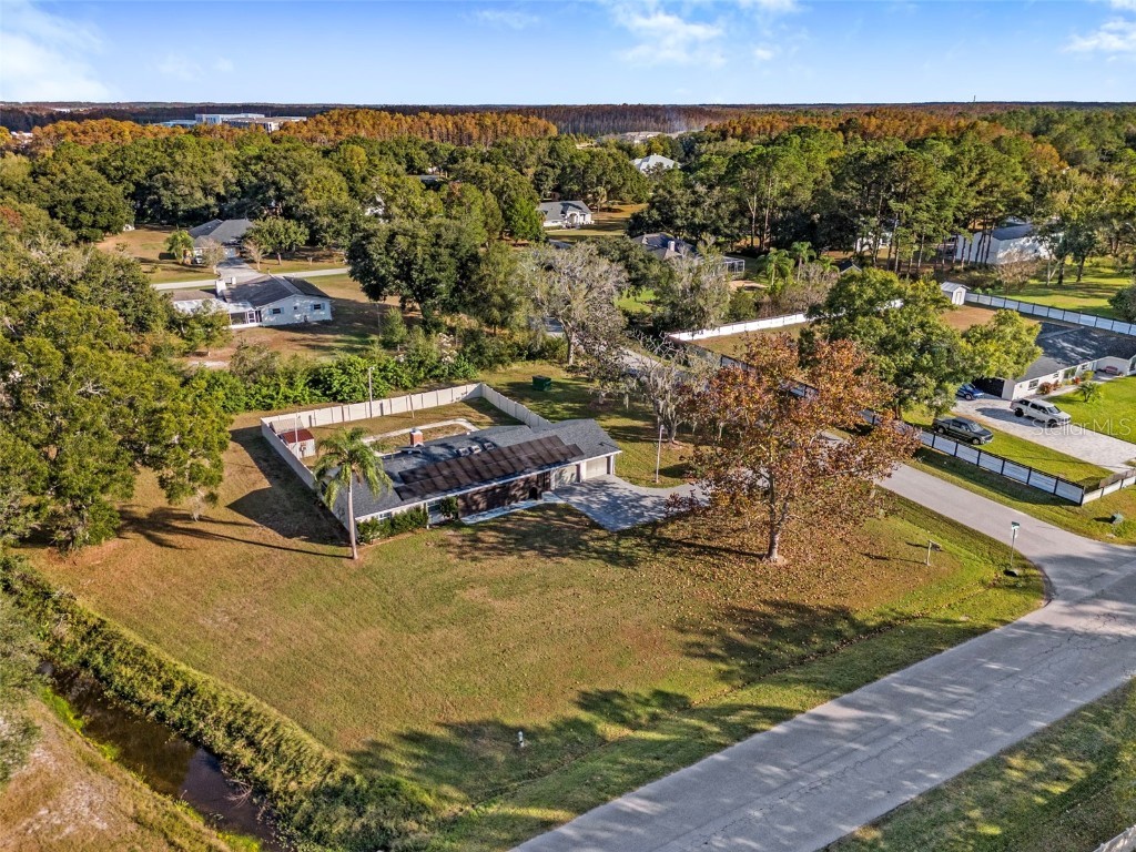 2406 Meadowbrook Drive Lutz FL 33558 TB8450843 image39