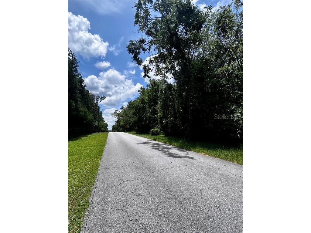 2406 N Pine Cone Avenue Lecanto FL 34461 OM705532 image3