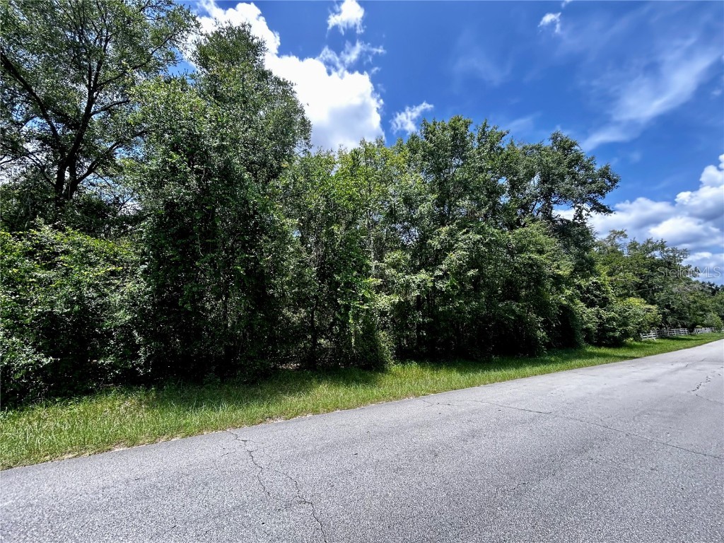 2406 N Pine Cone Avenue Lecanto FL 34461 OM705532 image5