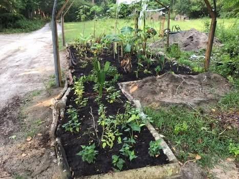 2406 SE 36th Street Gainesville FL 32641 GC534103 image2