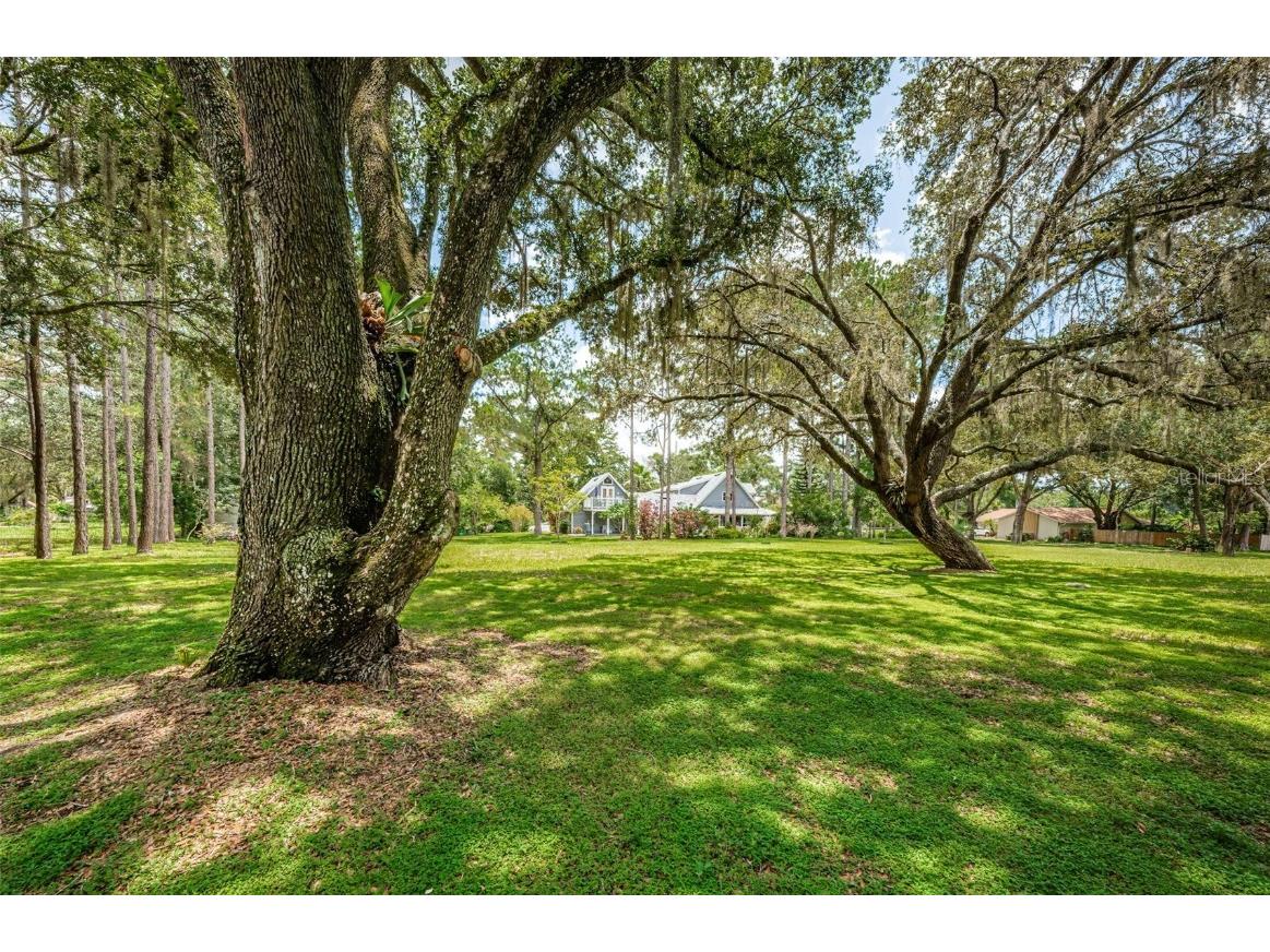 2406 Tangerine Hill Court Lutz FL 33549 T3540315 image1