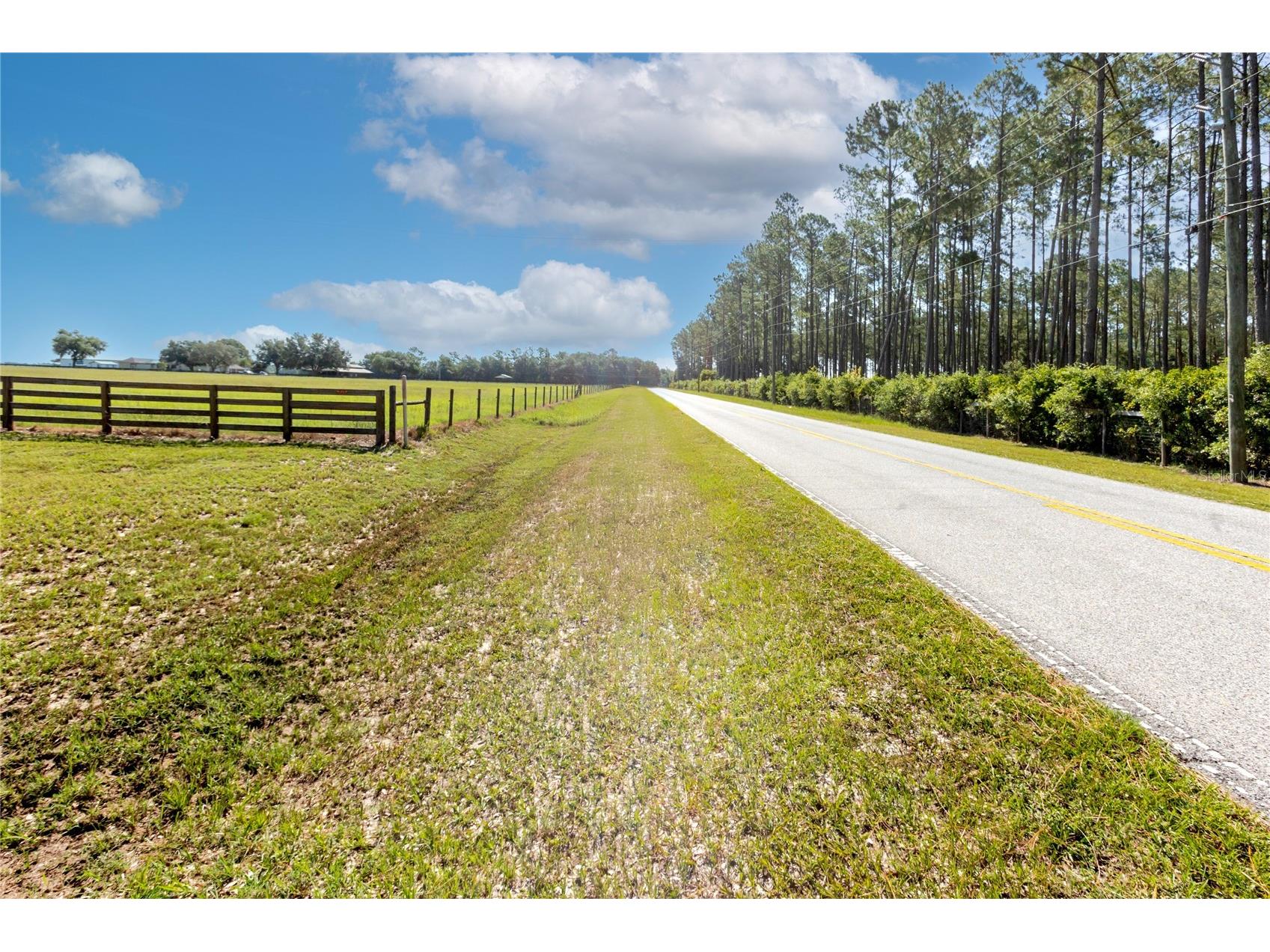 24063 Hayman Road Brooksville FL 34602 W7887086 image15