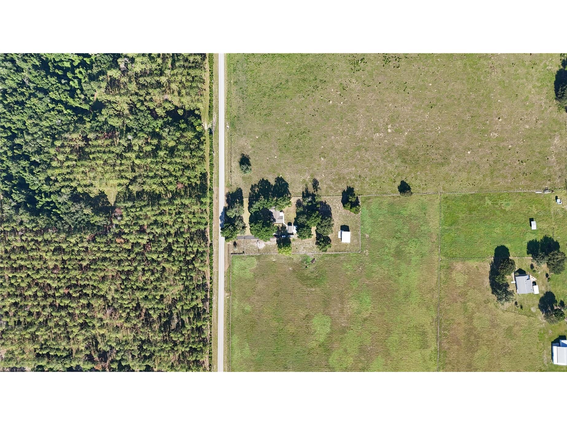 24063 Hayman Road Brooksville FL 34602 W7887086 image5