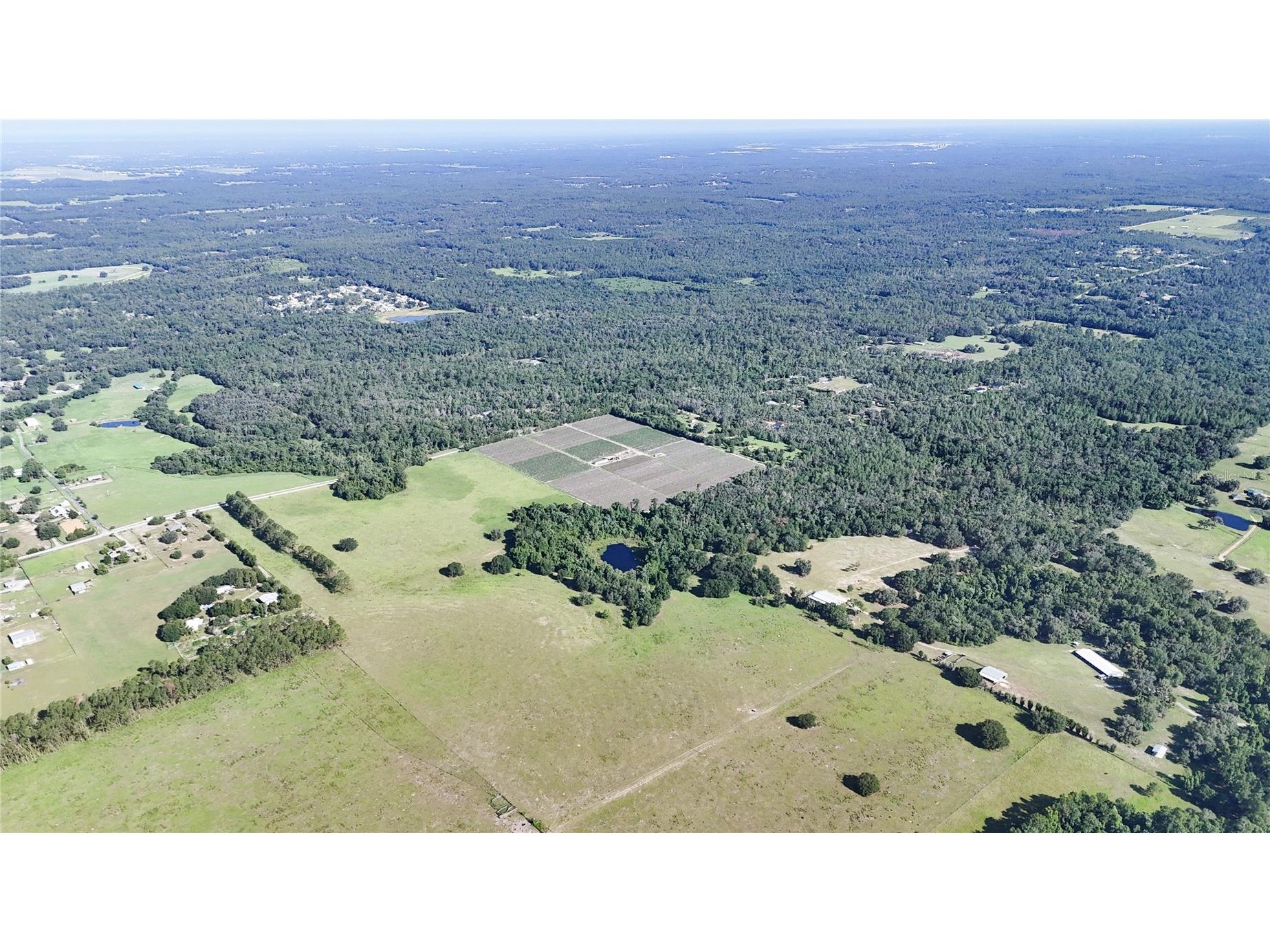 24063 Hayman Road Brooksville FL 34602 W7887086 image89
