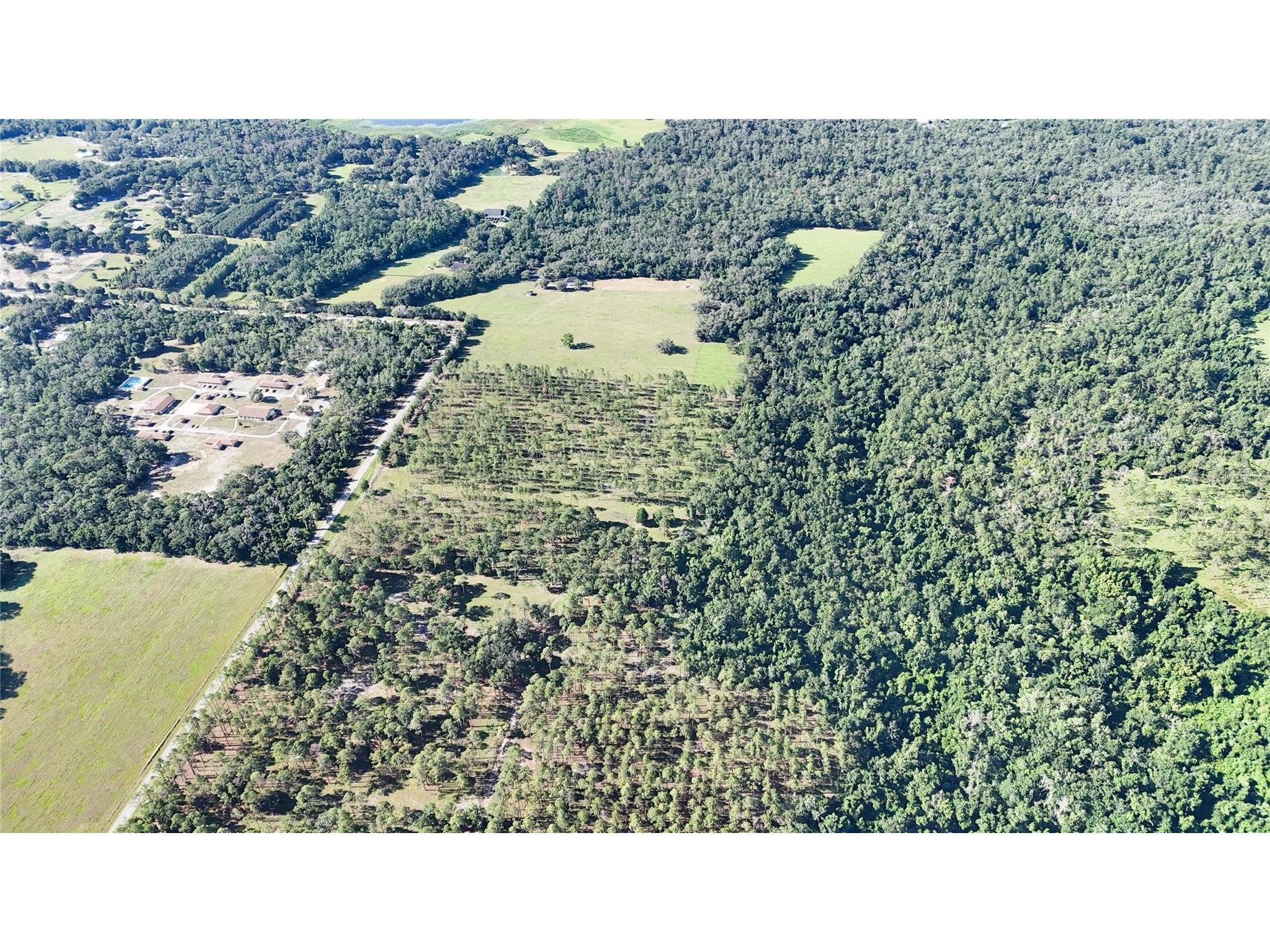 24063 Hayman Road Brooksville FL 34602 W7887086 image94