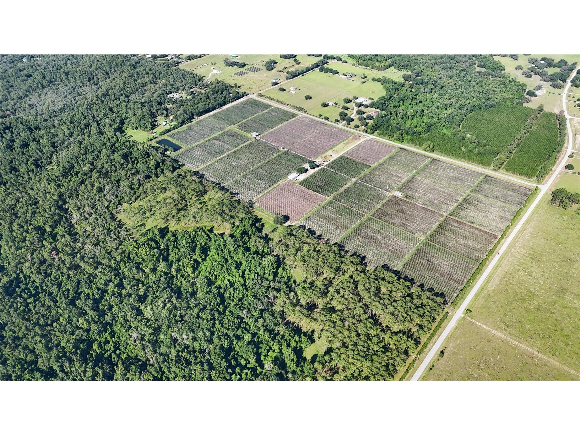 24063 Hayman Road Brooksville FL 34602 W7887086 image95