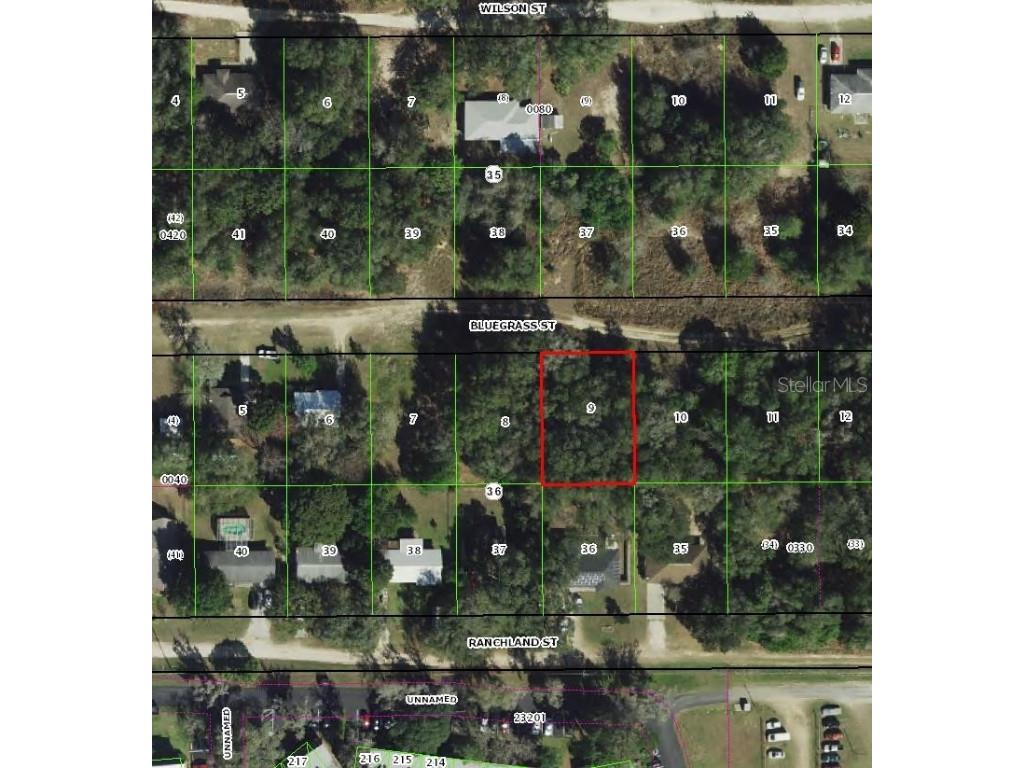 2407 Bluegrass Street Inverness FL 34453 TB8435590 image2