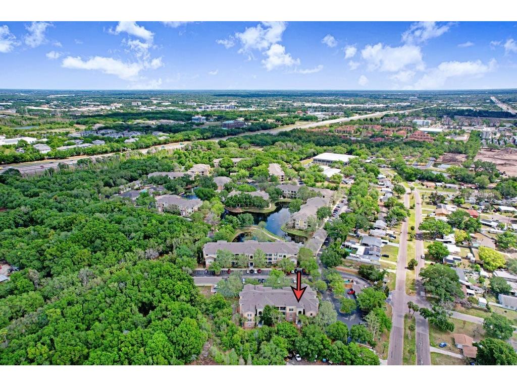 2407 Courtney Meadows Court #303 Tampa FL 33619 TB8492133 image30