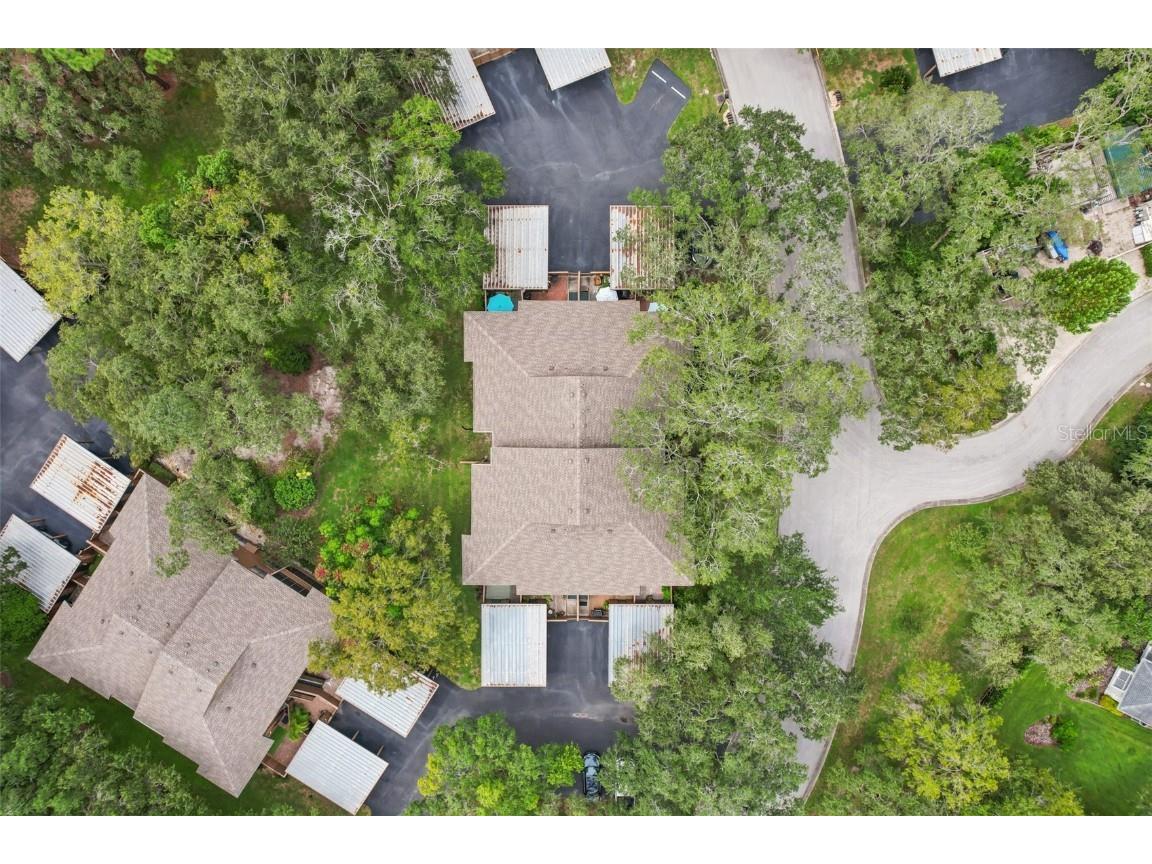 2407 Cypress Pond Road #2407 Palm Harbor FL 34683 TB8424189 image22