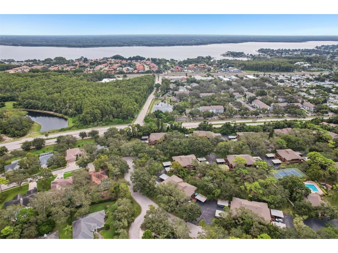 2407 Cypress Pond Road #2407 Palm Harbor FL 34683 TB8424189 image24
