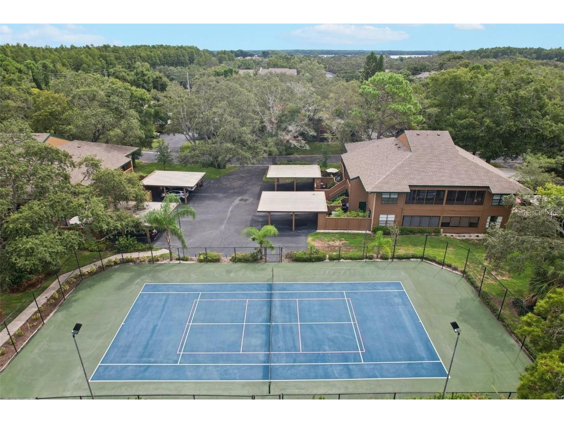 2407 Cypress Pond Road #2407 Palm Harbor FL 34683 TB8424189 image27