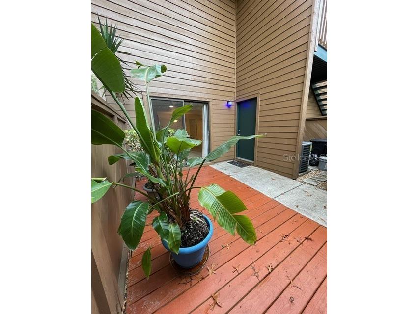 2407 Cypress Pond Road Palm Harbor FL 34683 T3494214 image1