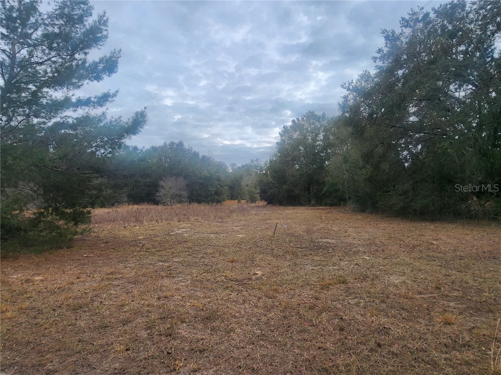 2407 Jackson Street Inverness FL 34453 OM693039 image12