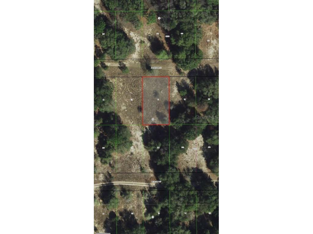 2407 Jackson Street Inverness FL 34453 OM693039 image3