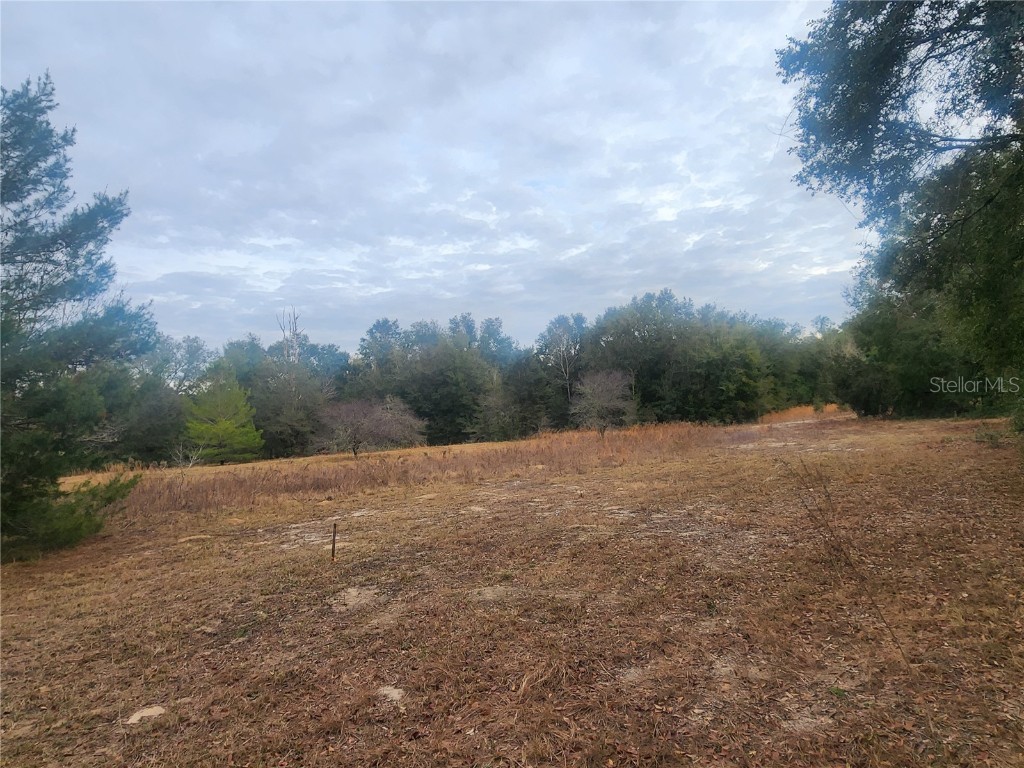 2407 Jackson Street Inverness FL 34453 OM693039 image5